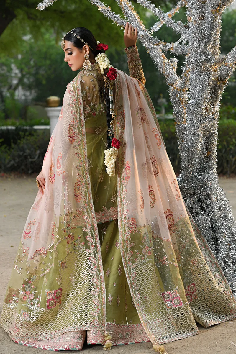 Qalamkar Singhar Wedding Formals – RF-07  HALENA