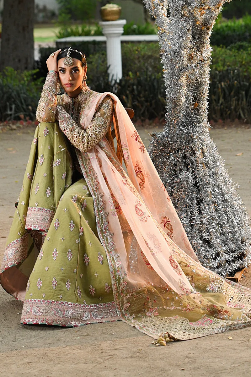 Qalamkar Singhar Wedding Formals – RF-07  HALENA