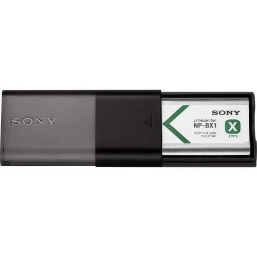 Sony USB Travel Charger and NP-BX1 Battery Kit